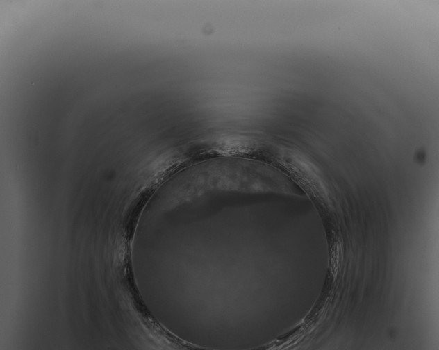 X0000097990367200804011814