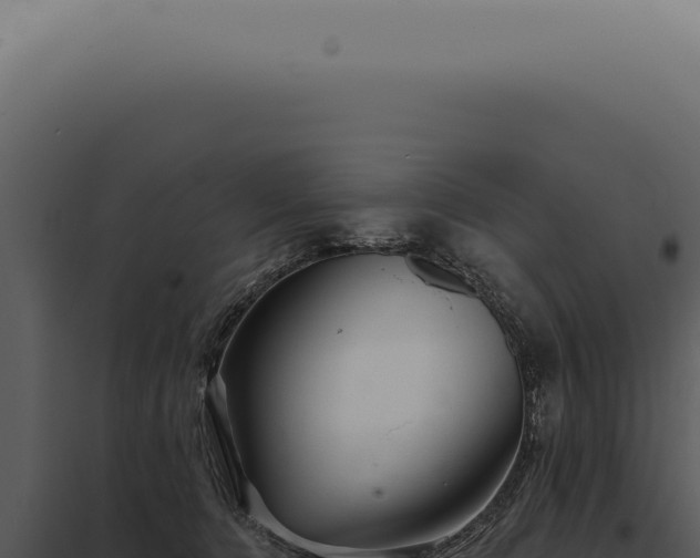 X0000097990368200804011814