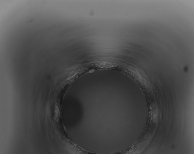 X0000097990371200804011814