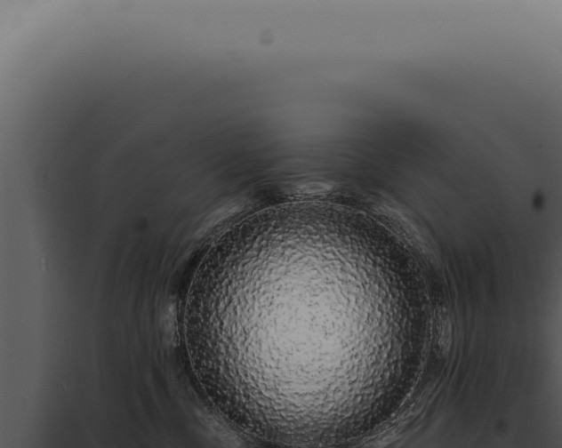 X0000097990378200804011814