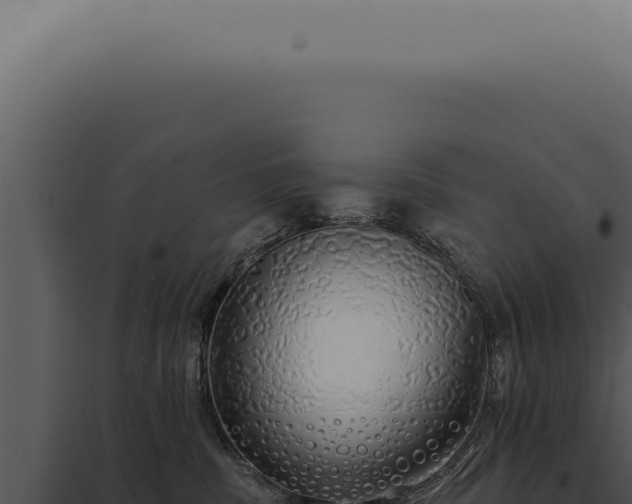 X0000097990379200804011814