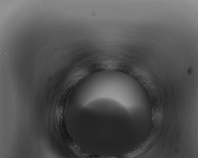 X0000097990382200804011815