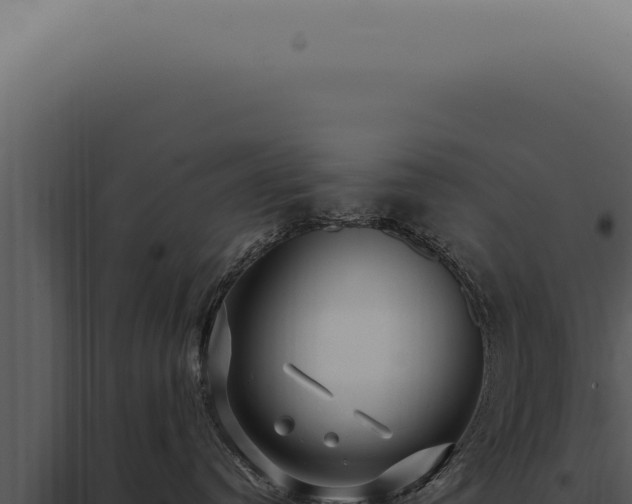 X0000097990384200804011815