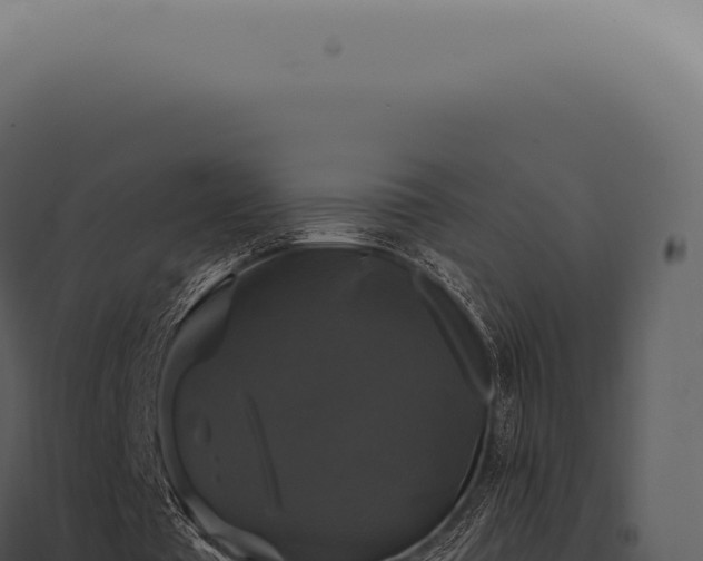 X0000097990385200804011814
