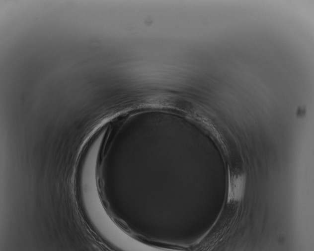 X0000097990387200804011814