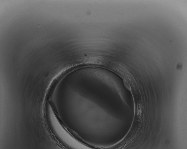 X0000097990388200804011814