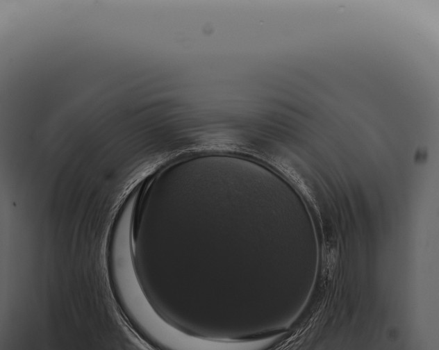 X0000097990389200804011814
