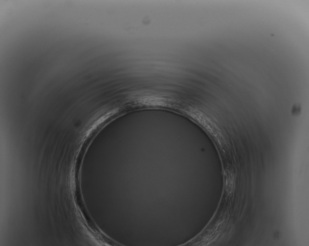 X0000097990390200804011814