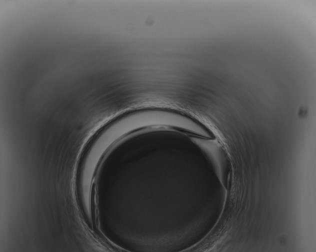 X0000097990391200804011814
