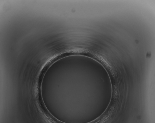 X0000097990392200804011814