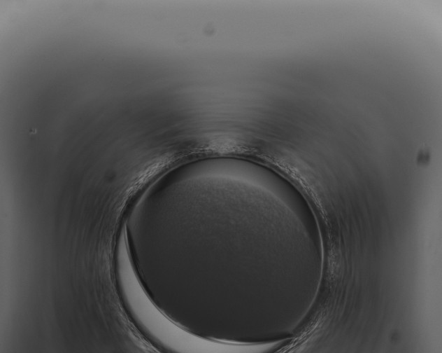 X0000097990393200804011814