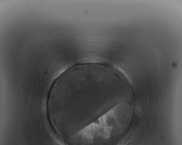 X0000097990394200804011814