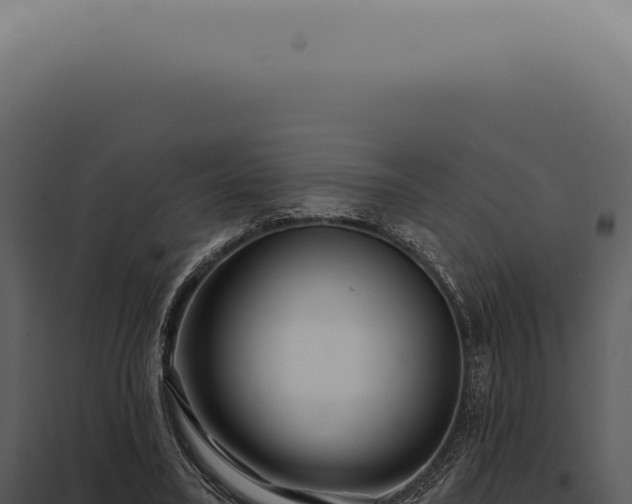 X0000097990395200804011814