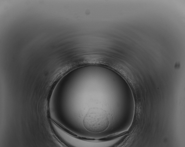 X0000097990397200804011814