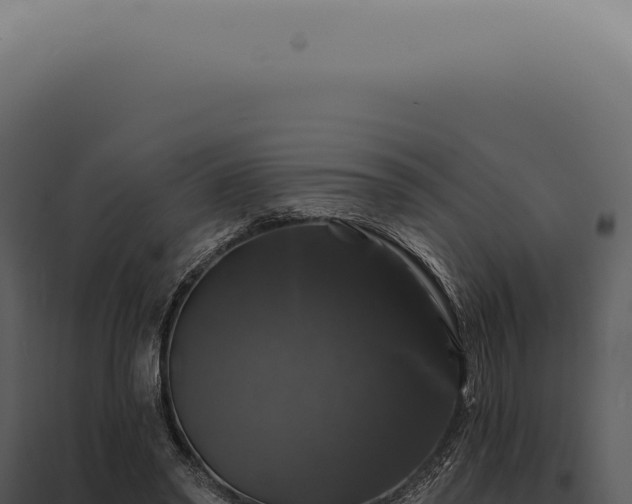 X0000097990398200804011814