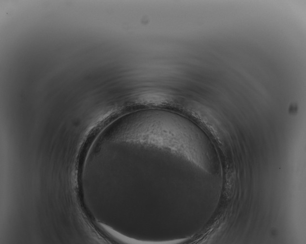 X0000097990399200804011814