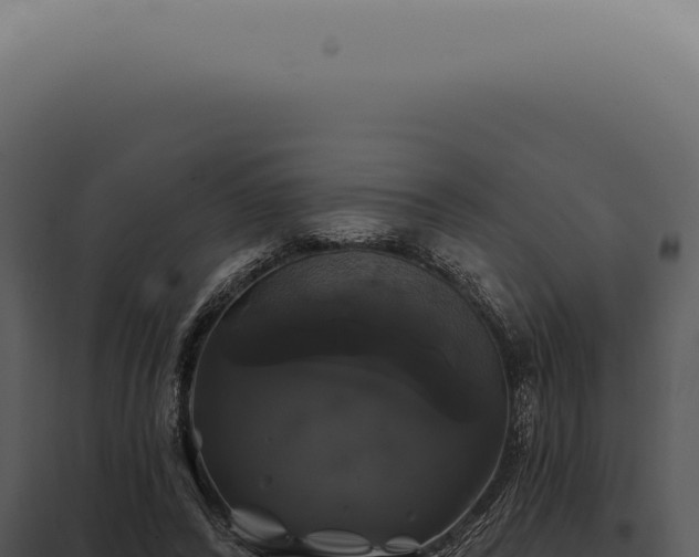X0000097990400200804011814