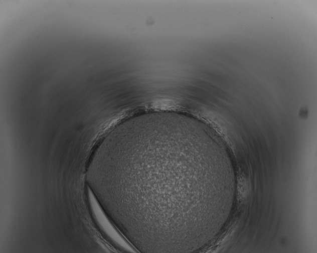 X0000097990401200804011814