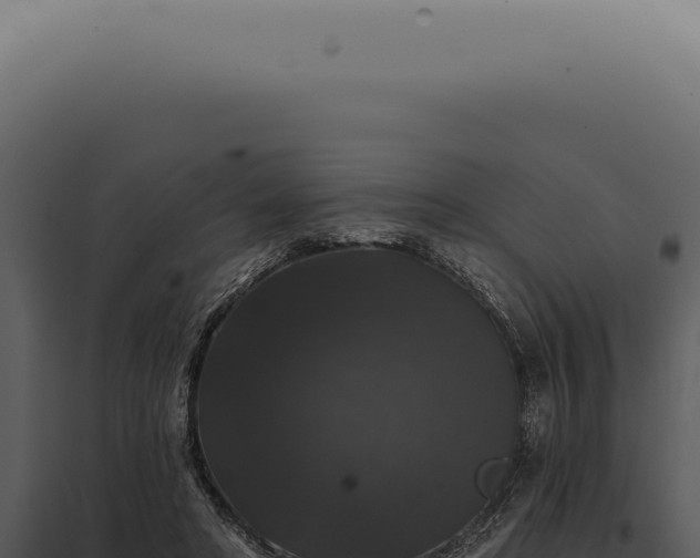 X0000097990402200804011813