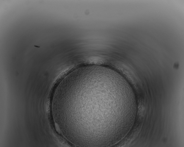 X0000097990403200804011813