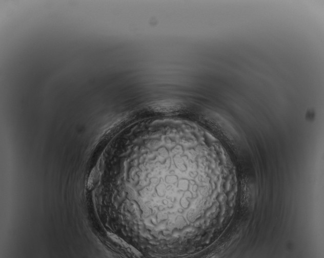 X0000097990404200804011813