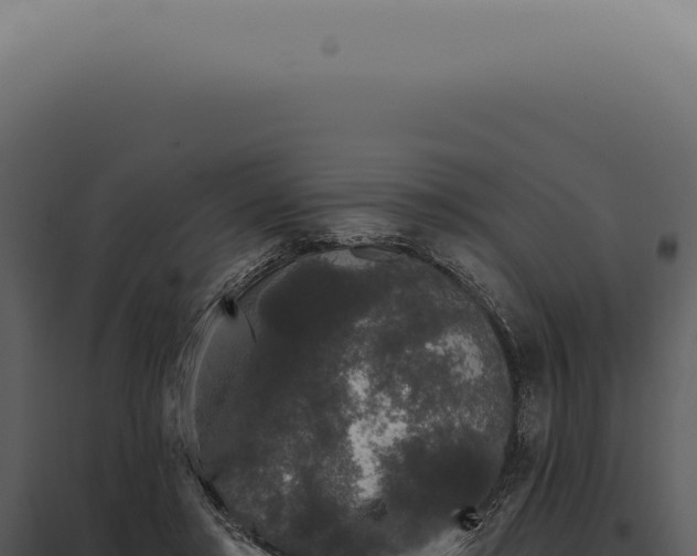 X0000097990405200804011813