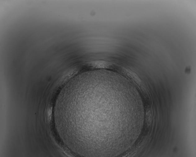 X0000097990406200804011813