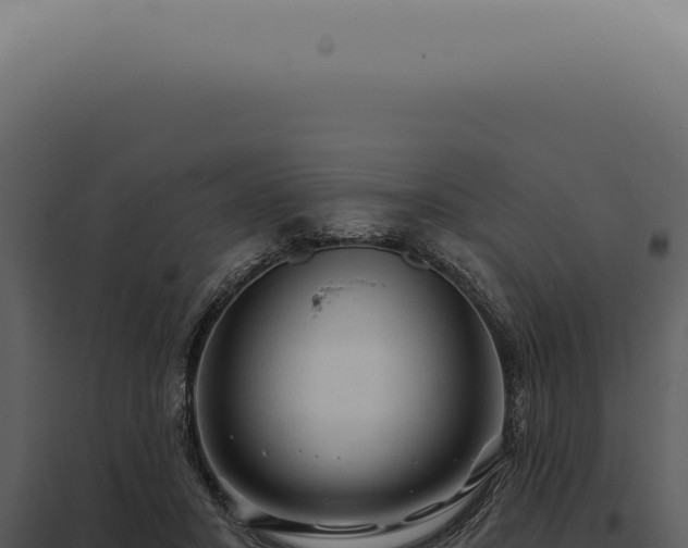X0000097990407200804011813