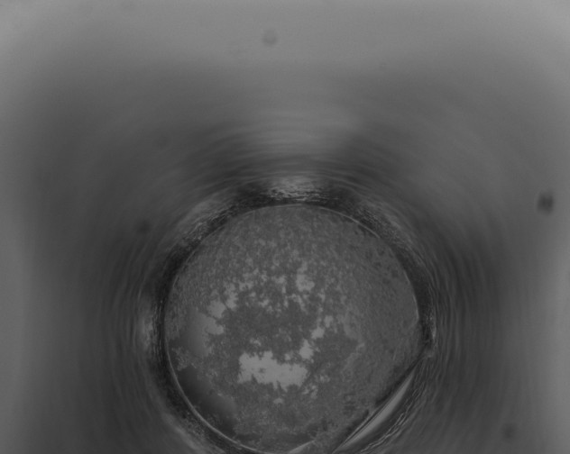 X0000097990408200804011813