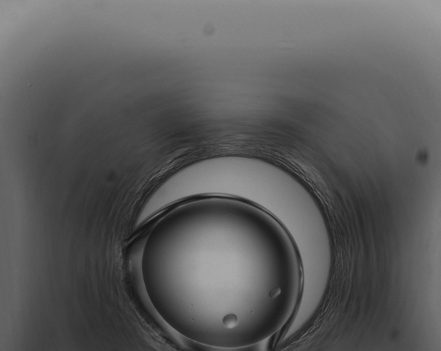 X0000097990409200804011813