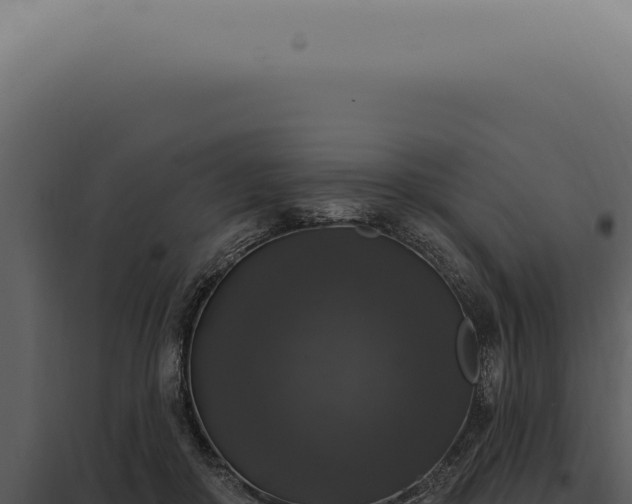 X0000097990410200804011813