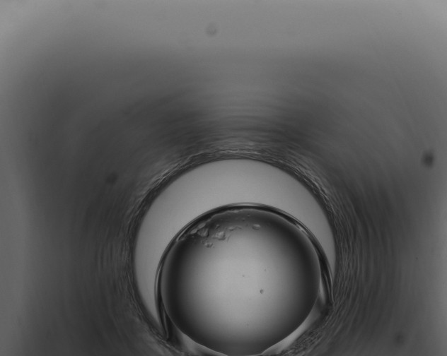 X0000097990411200804011813