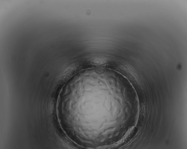 X0000097990412200804011813