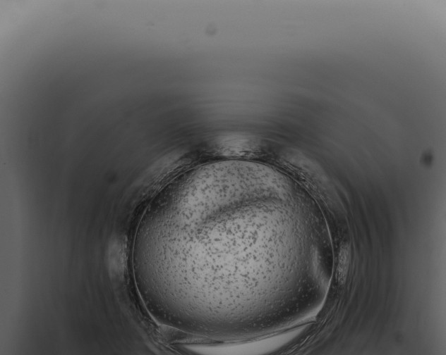 X0000097990413200804011813
