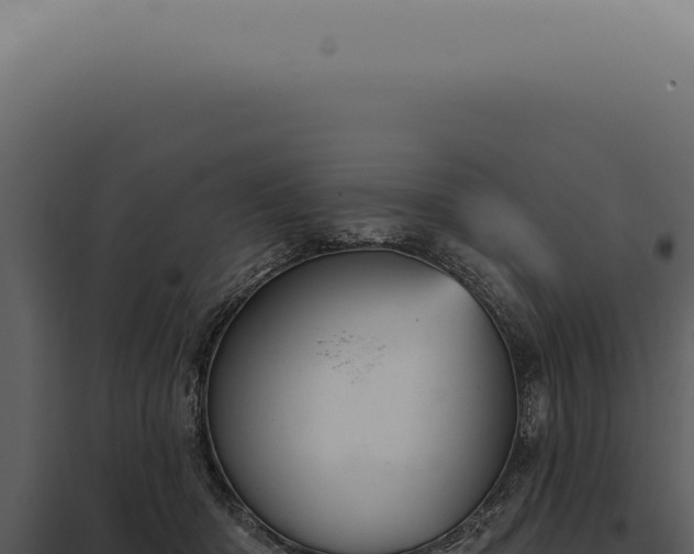 X0000097990414200804011813
