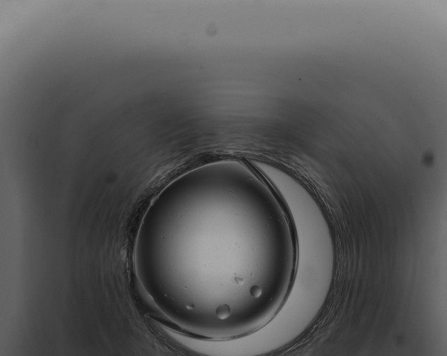 X0000097990415200804011813