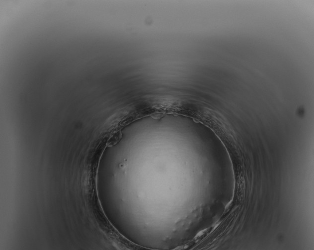 X0000097990416200804011813