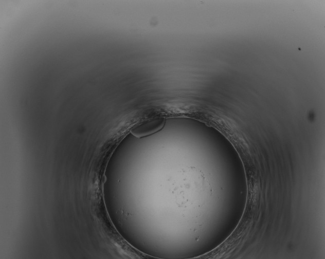 X0000097990418200804011813