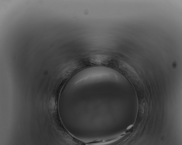 X0000097990420200804011813