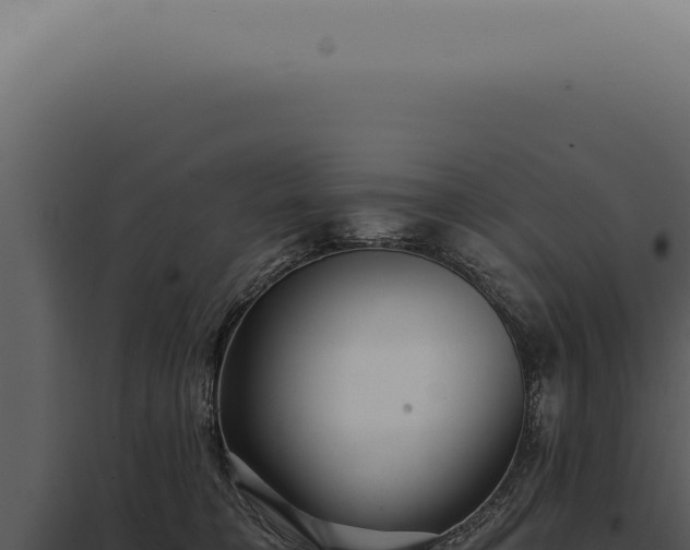 X0000097990421200804011813