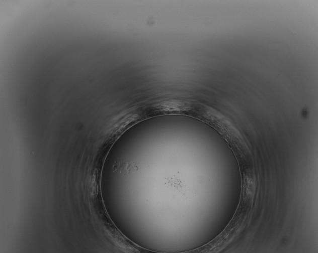 X0000097990422200804011813