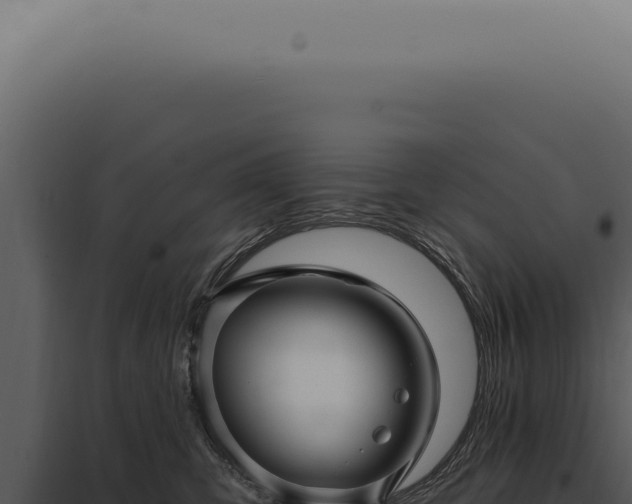 X0000097990423200804011813