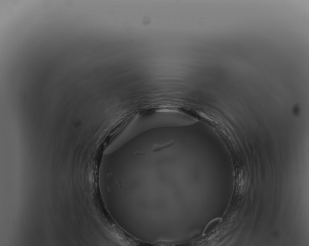 X0000097990424200804011813