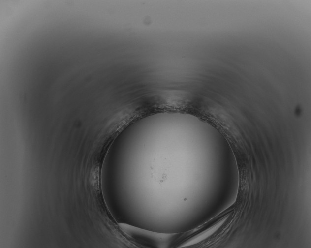 X0000097990425200804011813
