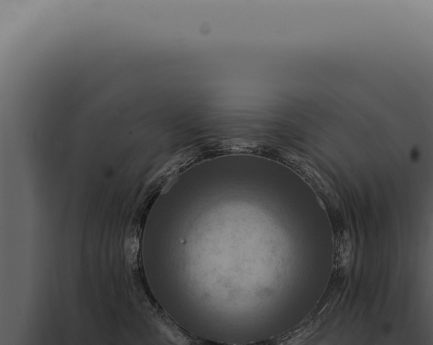 X0000097990427200804011813