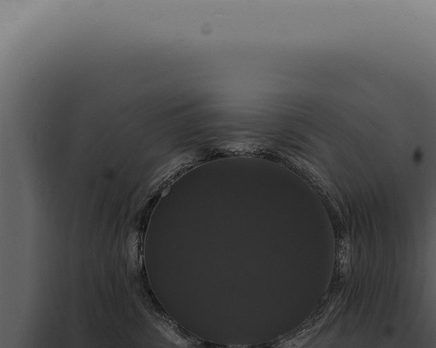 X0000097990428200804011813