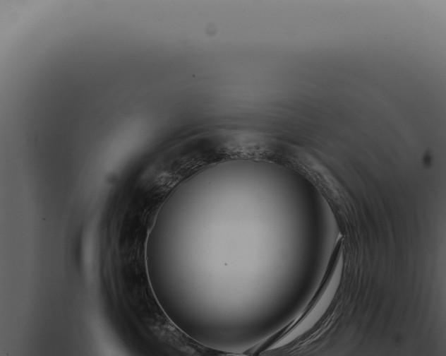 X0000097990429200804011813
