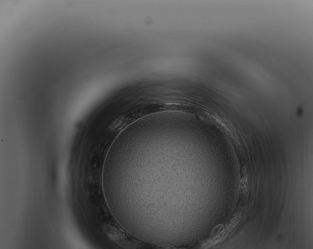 X0000097990430200804011813