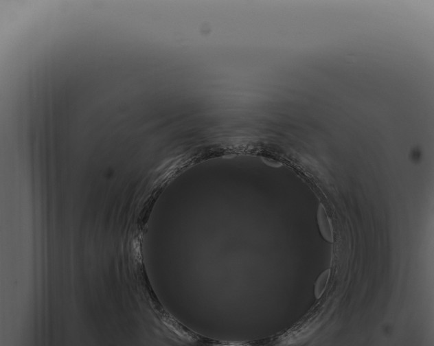 X0000097990432200804011813