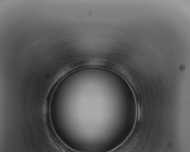 X0000097990435200804011812